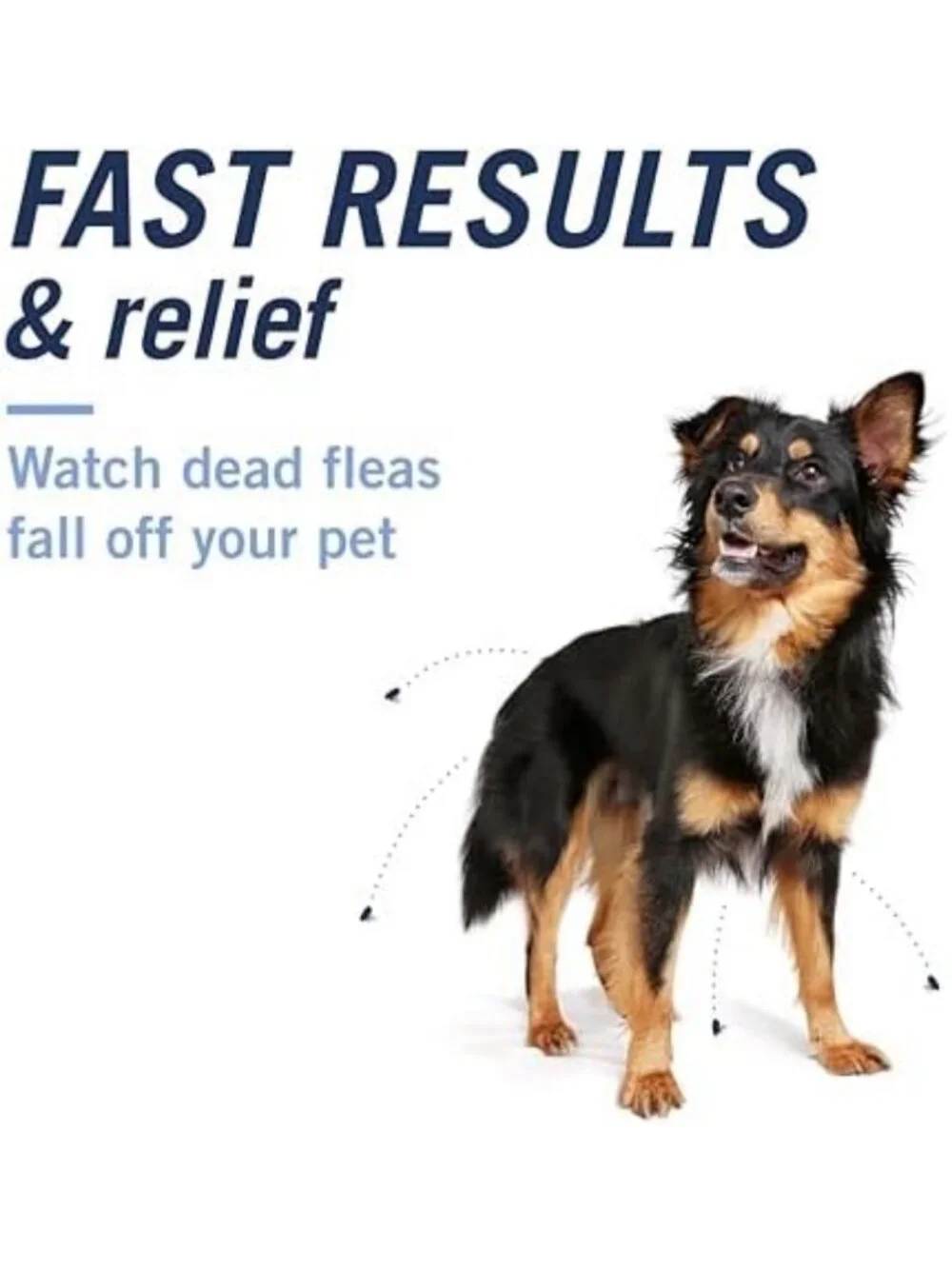 Fast-Acting Oral Flea Treatment for Dogs Over 25 lbs - 6 Tablets, Kills Fleas in
